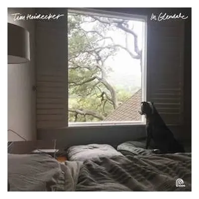 LP Tim Heidecker: In Glendale