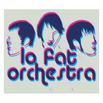 LP Lo Fat Orchestra: Questions For Honey