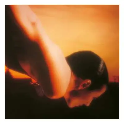 CD Porcupine Tree: On The Sunday Of Life... DIGI