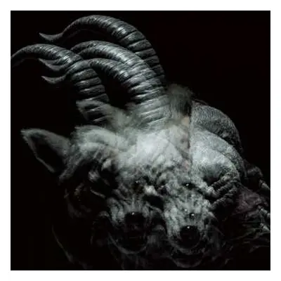 CD the GazettE: Beautiful Deformity