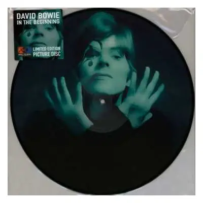 LP David Bowie: In The Beginning LTD | PIC