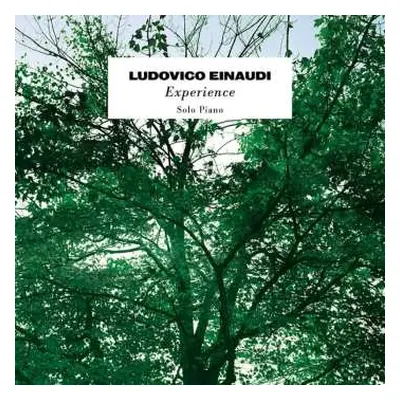 SP Ludovico Einaudi: Experience