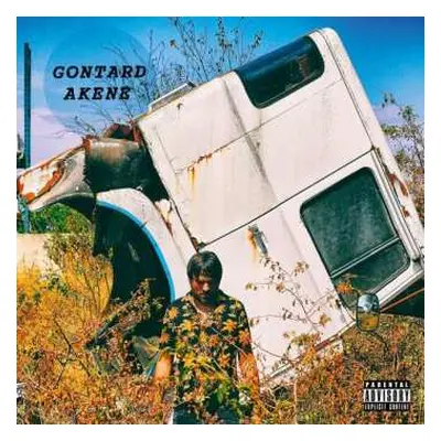 CD Gontard!: Akene