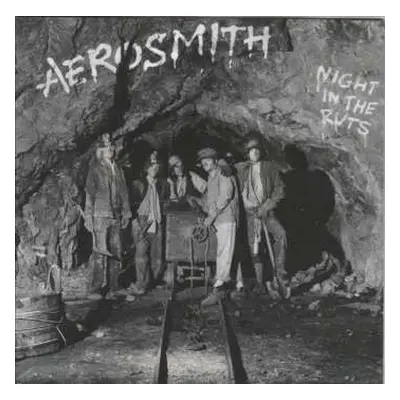 CD Aerosmith: Night In The Ruts