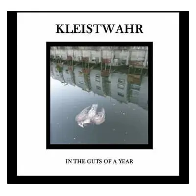 CD Kleistwahr: In The Guts Of A Year