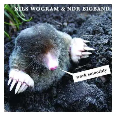 CD The NDR Big Band: Work Smoothly