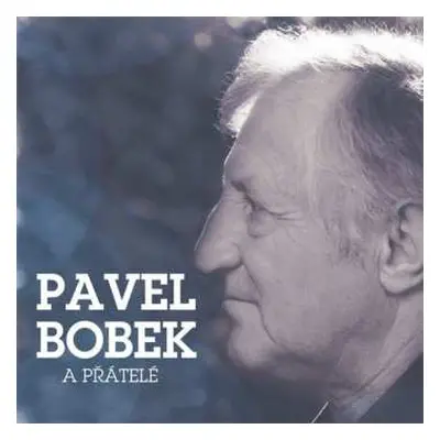 2CD Pavel Bobek: A Přátelé