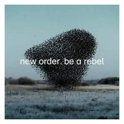 LP New Order: Be A Rebel LTD | CLR