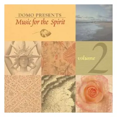 CD Various: Music For The Spirit V.2