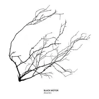 CD Black Motor: Branches