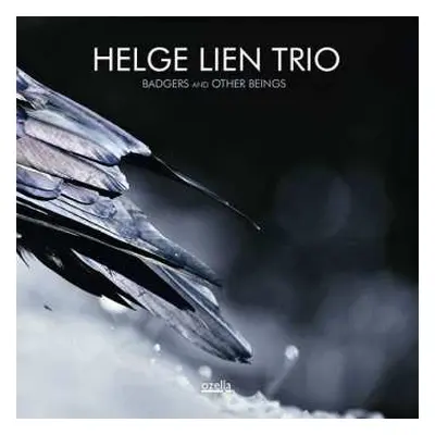 CD Helge Lien Trio: Badgers And Other Beings