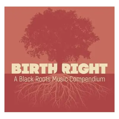 2CD Various: Birth Right: A Black Roots Music Compendium