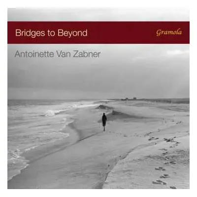 CD Various: Antoinette Van Zabner - Bridges To Beyond