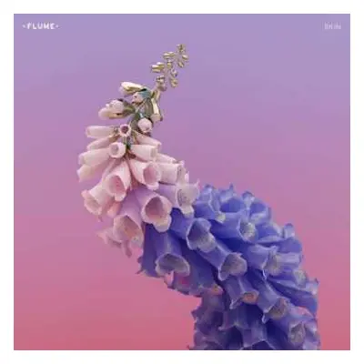 2LP Flume: Skin LTD | CLR