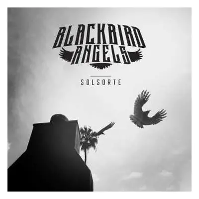 CD Blackbird Angels: Solsorte