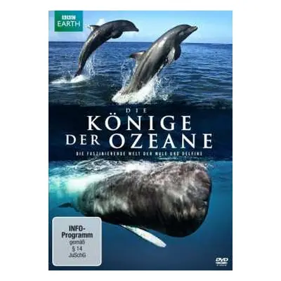 DVD Various: Die Könige Der Ozeane