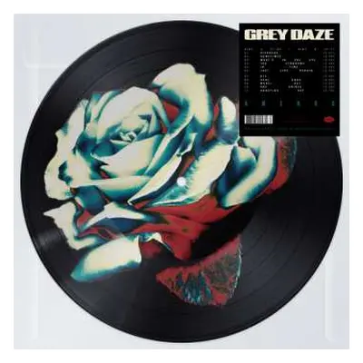 LP Grey Daze: Amends LTD | PIC