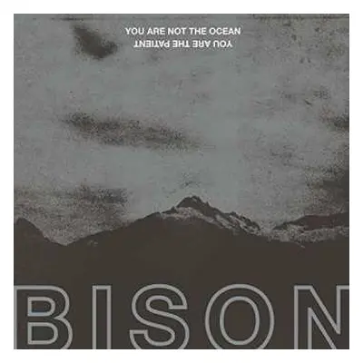 LP Bison B.C.: You Are Not The Ocean You Are The Patient