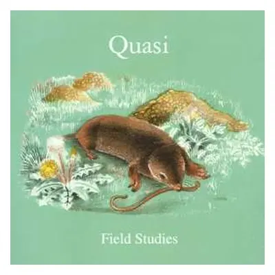 CD Quasi: Field Studies