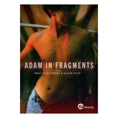 DVD Feature Film: Adam In Fragments