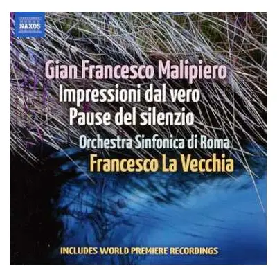 CD Francesco La Vecchia: Impressioni Dal Vero • Pause Del Silenzio