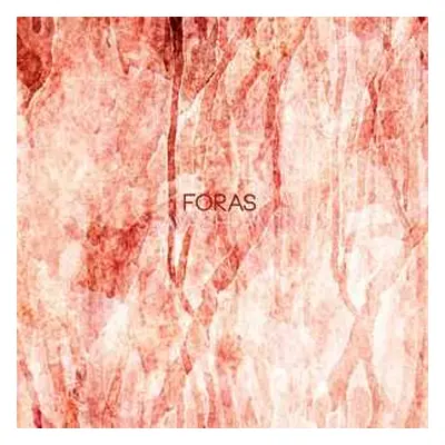 LP Siavash Amini: Foras