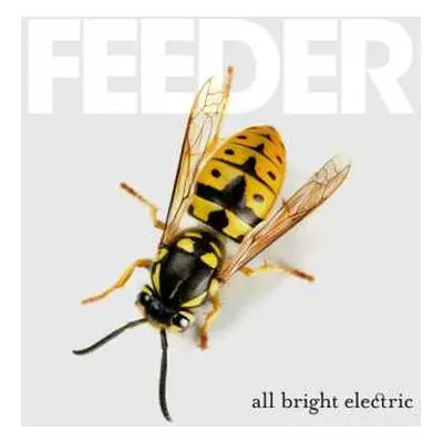 CD Feeder: All Bright Electric DLX | LTD