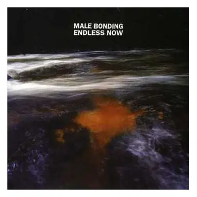 CD Male Bonding: Endless Now