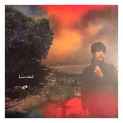 2LP Sharon Van Etten: We've Been Going About This All Wrong