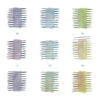 CD The Durutti Column: Another Setting