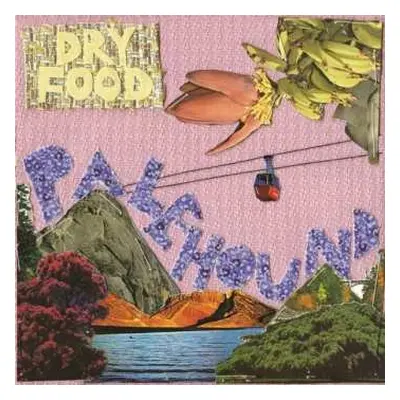 CD Palehound: Dry Food