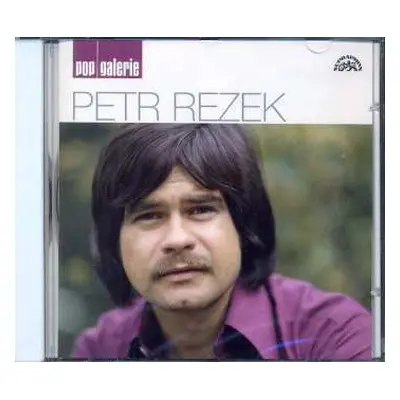 CD Petr Rezek: Pop Galerie