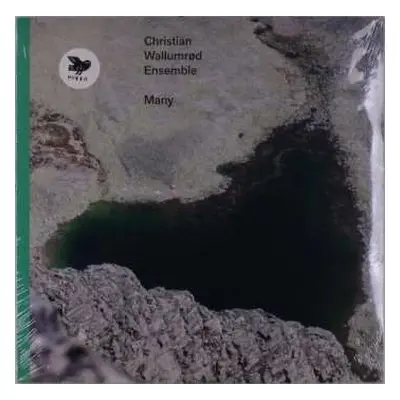 LP Christian Wallumrød Ensemble: Many LTD | CLR