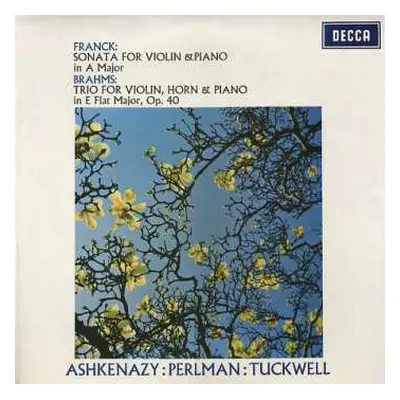 2CD César Franck: Violin Sonata, Piano Trio