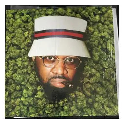 LP Smoke DZA: Homegrown LTD | CLR