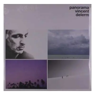 LP Vincent Delerm: Panorama