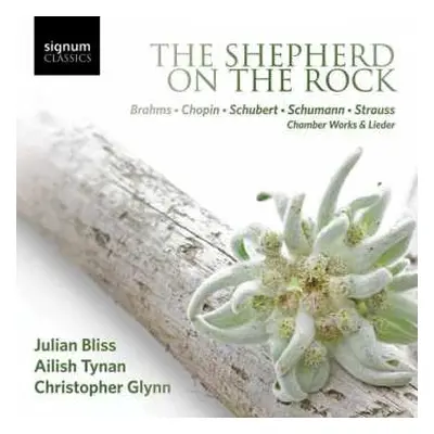 CD Johannes Brahms: Ailish Tynan - The Shepherd On The Rock