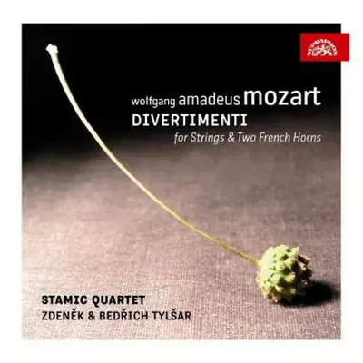 2CD Tylšar Zdeněk A Bedřich: Mozart : Divertimenta pro smyčcové kv