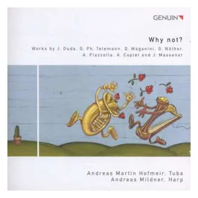 CD Andreas Hofmeir: Why Not?