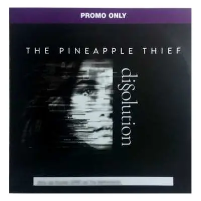 CD The Pineapple Thief: Dissolution