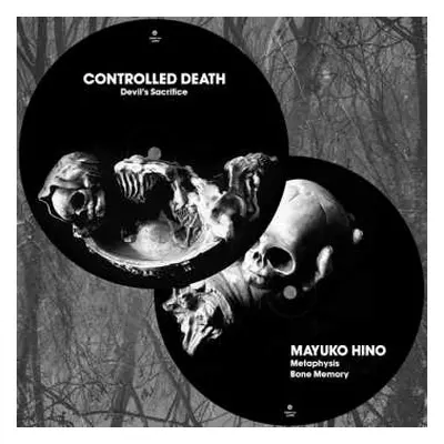 LP Controlled Death: Split LTD | PIC