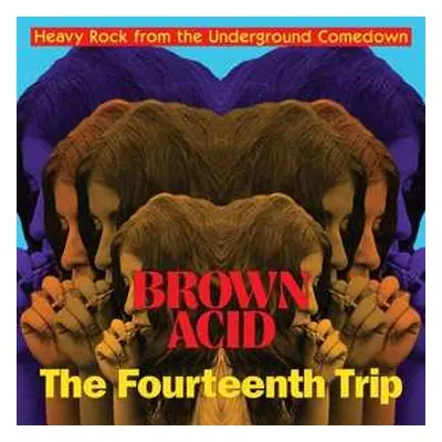 LP Various: Brown Acid: The Fourteenth Trip (Heavy Rock From The Underground Comedown)