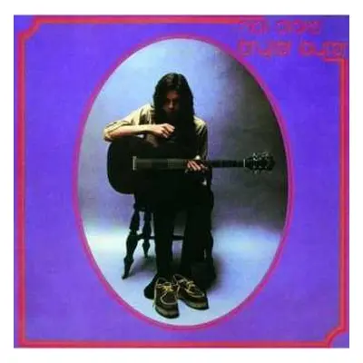 CD Nick Drake: Bryter Layter DIGI