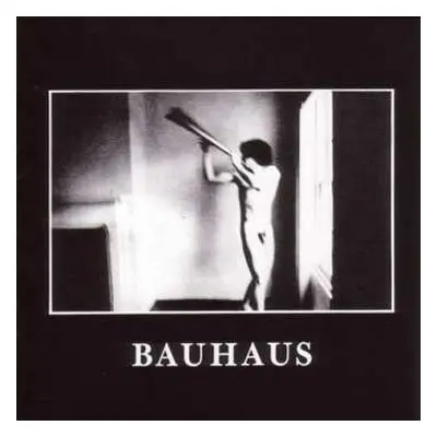 CD Bauhaus: In The Flat Field