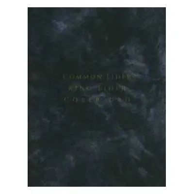 CD Common Eider, King Eider: Palimpseste LTD