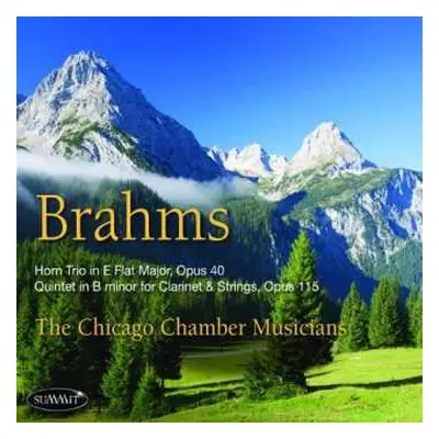 CD Johannes Brahms: Brahms