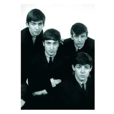 The Beatles Postcard: The Beatles Portrait (large) L