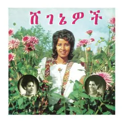 LP Aselefech Ashine: ሸ​ገ​ኔ​ዎ​ች = Beauties