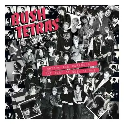 2CD Bush Tetras: Rhythm And Paranoia: The Best Of Bush Tetras