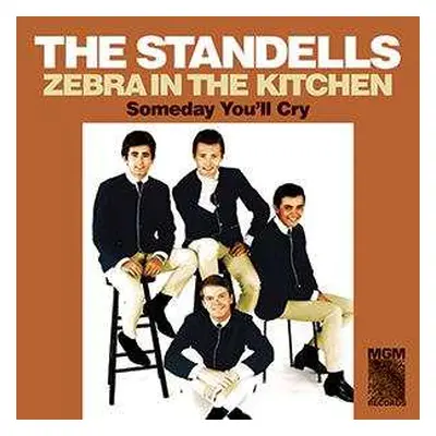 SP The Standells: Zebra In The Kitchen / Someday You'll Cry LTD